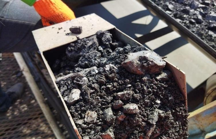 Coal sample